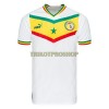 Original Fußballtrikot Senegal Heimtrikot WM 2022 Für Herren